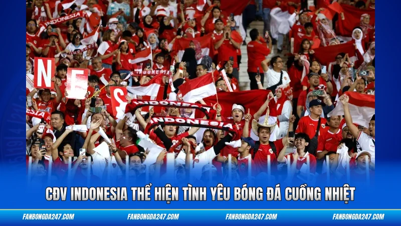 CĐV indonesia thể hiện tình yêu bóng đá cuồng nhiệt
