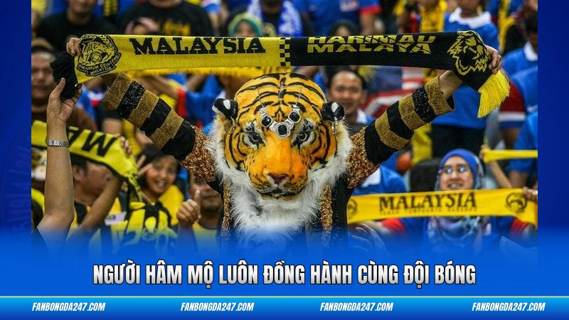 Người hâm mộ luôn đồng hành cùng đội bóng