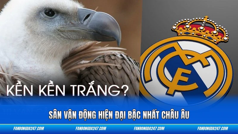 Sân vận động hiện đại bậc nhất châu Âu