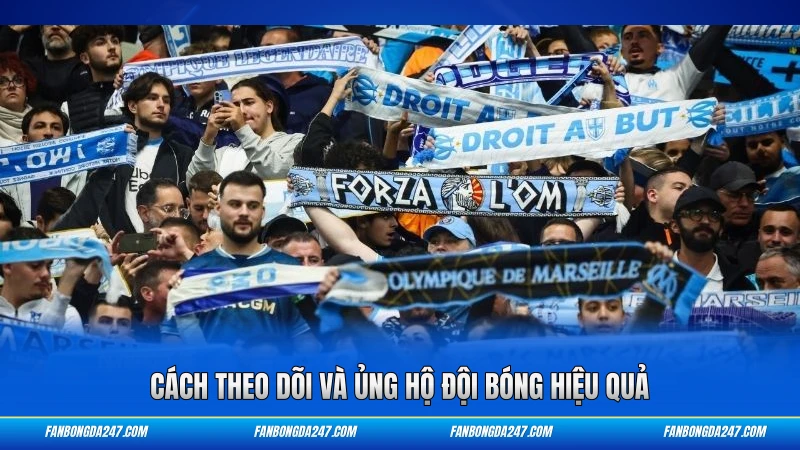 Cách theo dõi và ủng hộ đội bóng hiệu quả